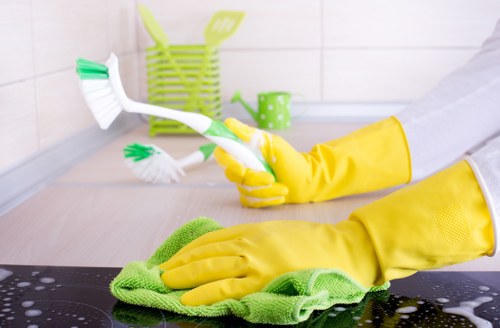 Professional sofa cleaning and upholstery maintenance