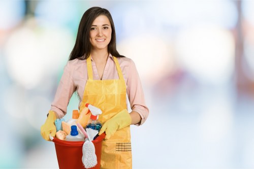 Mattress odor removal for pet stains using baking soda and cleaner